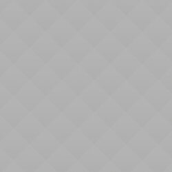 PetRescue Pet of the Week: Rogger