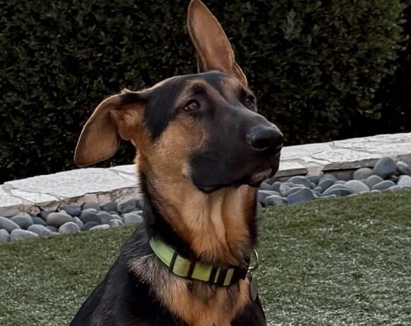 Valen