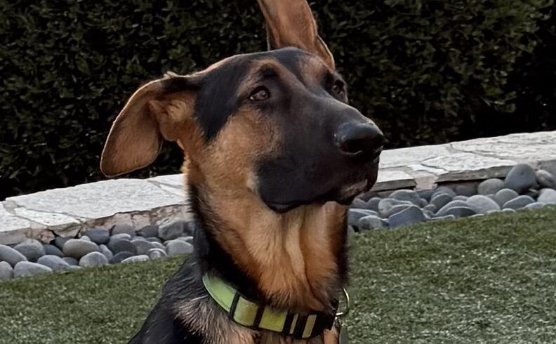 Valen
