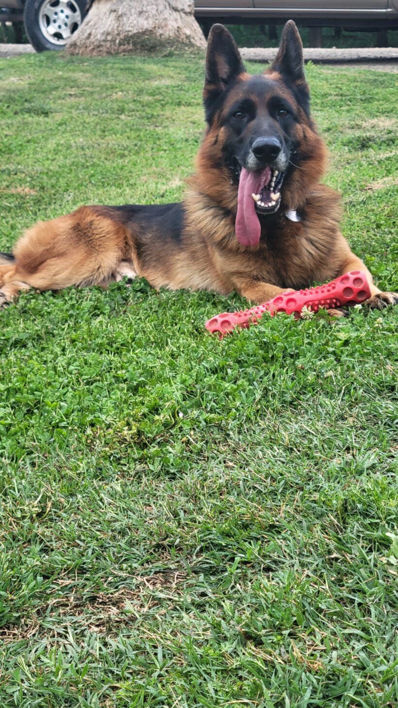 Koda Koda